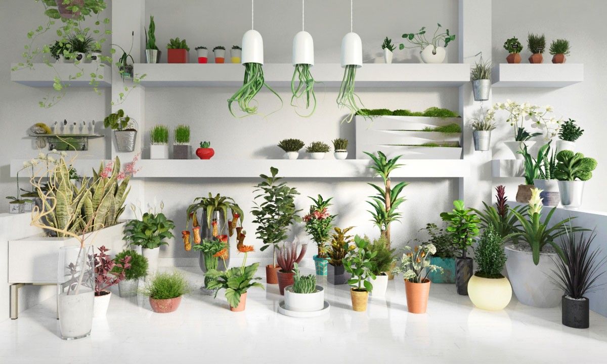 Archmodels vol. 141 - Indoor Plants