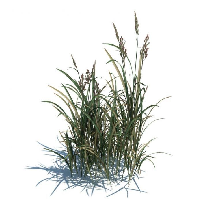 Archmodels vol. 124 - Grass & Small Plants