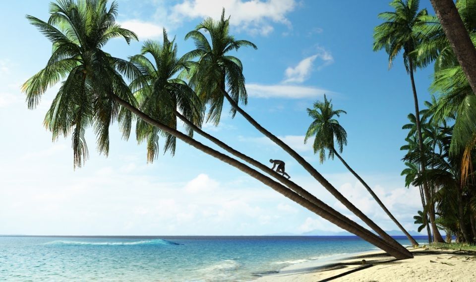 Archmodels vol. 85 - Tropical Trees