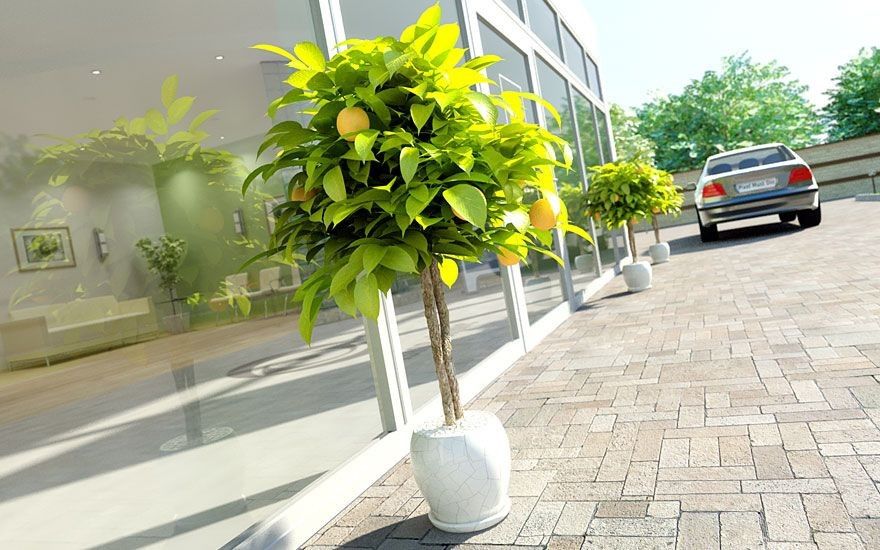 Archmodels vol. 41 - Plants