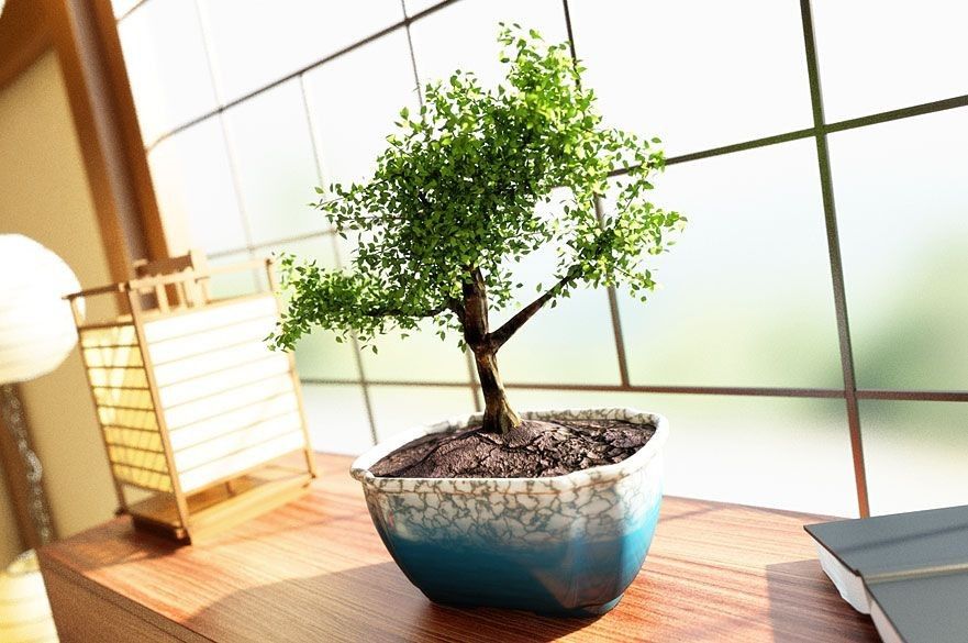 Archmodels Vol. 24 - Plants