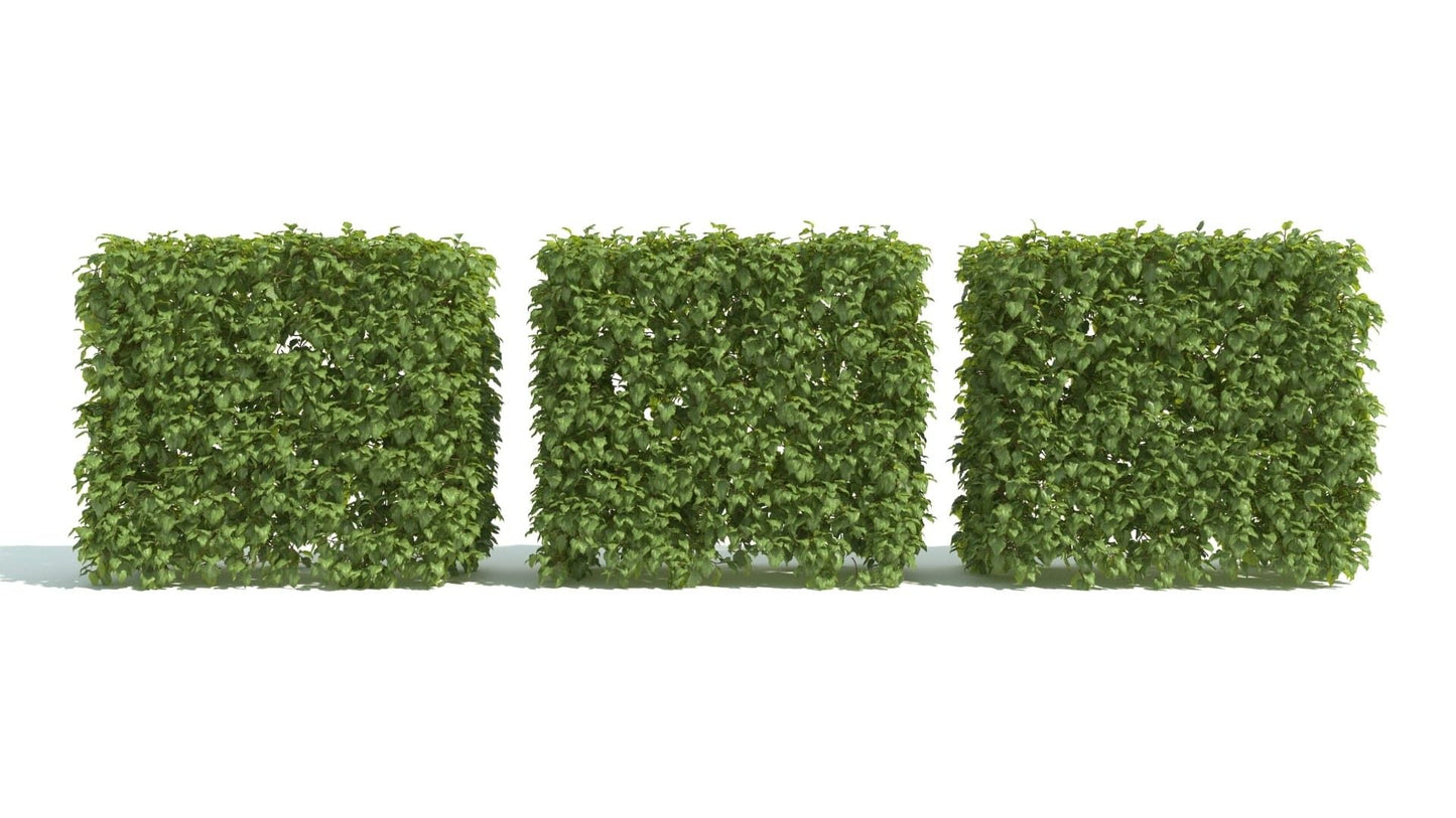 Archmodels vol. 192 - Hedges