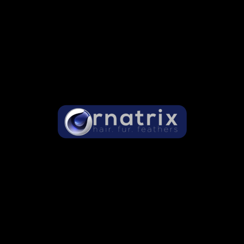 Ornatrix for Cinema 4D - Monthly